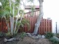 DSC00008