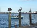 Jetty-Park-4