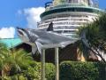 Ship-Shark