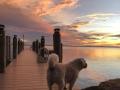 Sunset-Bert